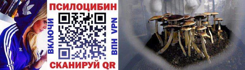 Купить закладки  Маркс  Псилоцибиновые грибы мухоморы 